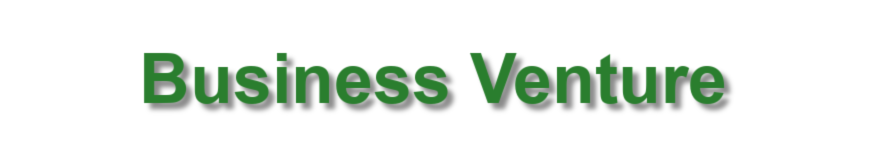 Business Venture